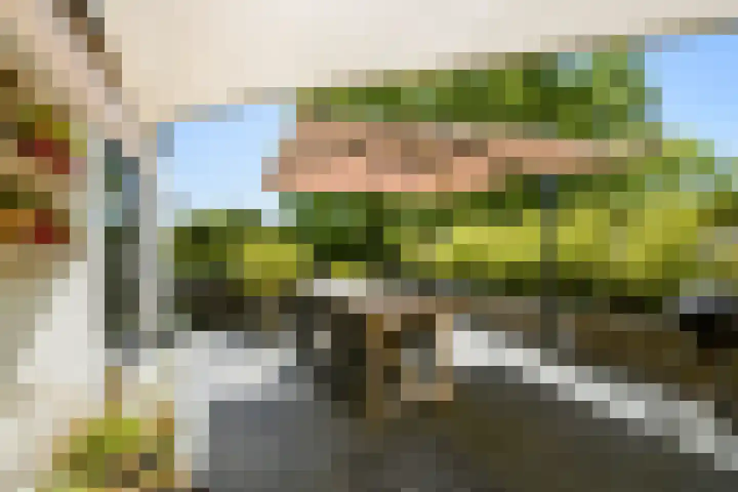 Pagnevaartdreef 4 Bosschenhoofd thumbnail 4