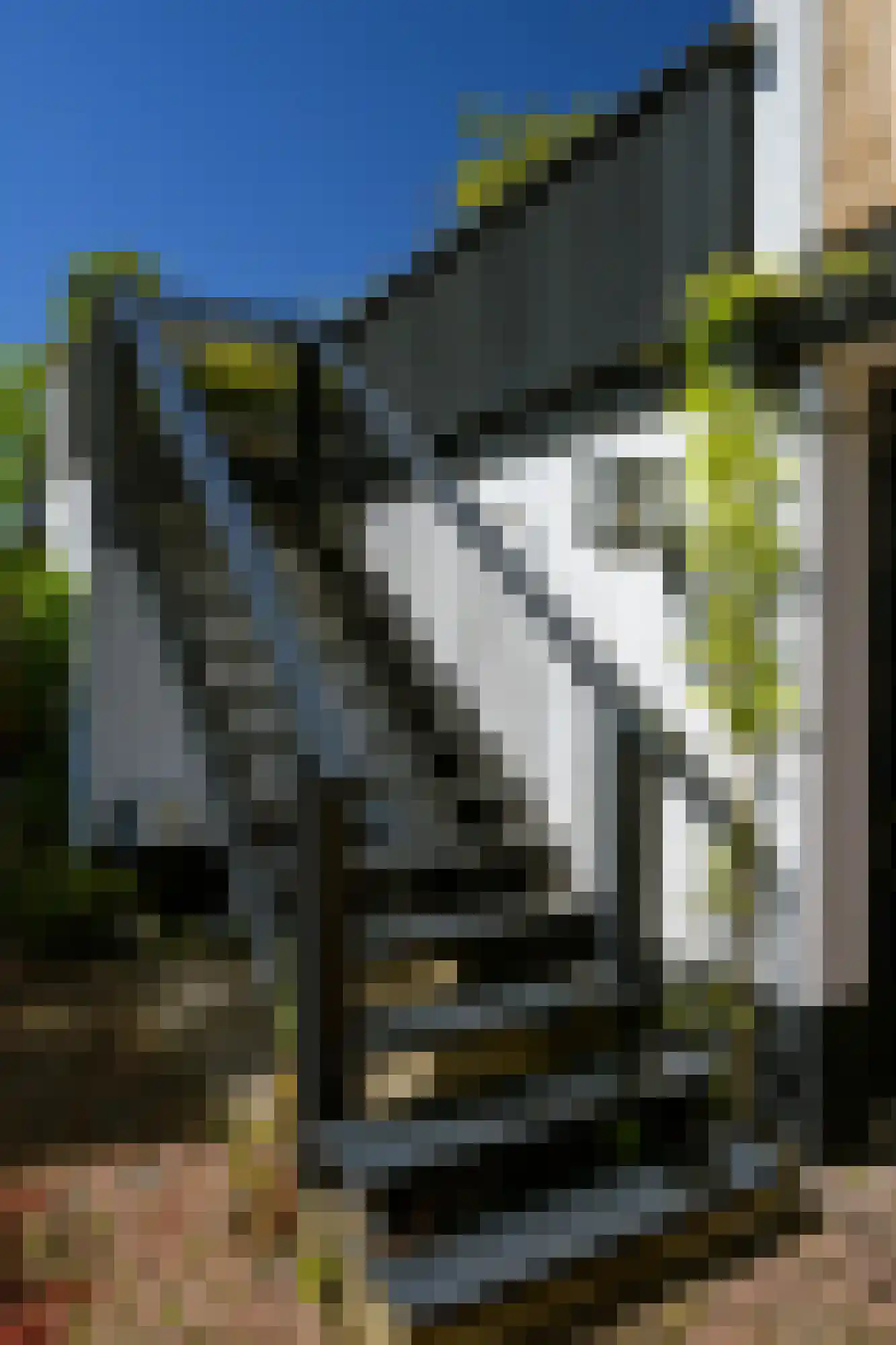 Pagnevaartdreef 4 Bosschenhoofd thumbnail 40