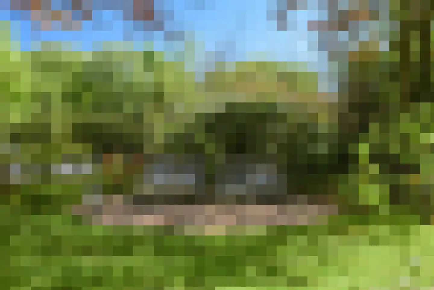 Pagnevaartdreef 4 Bosschenhoofd thumbnail 42
