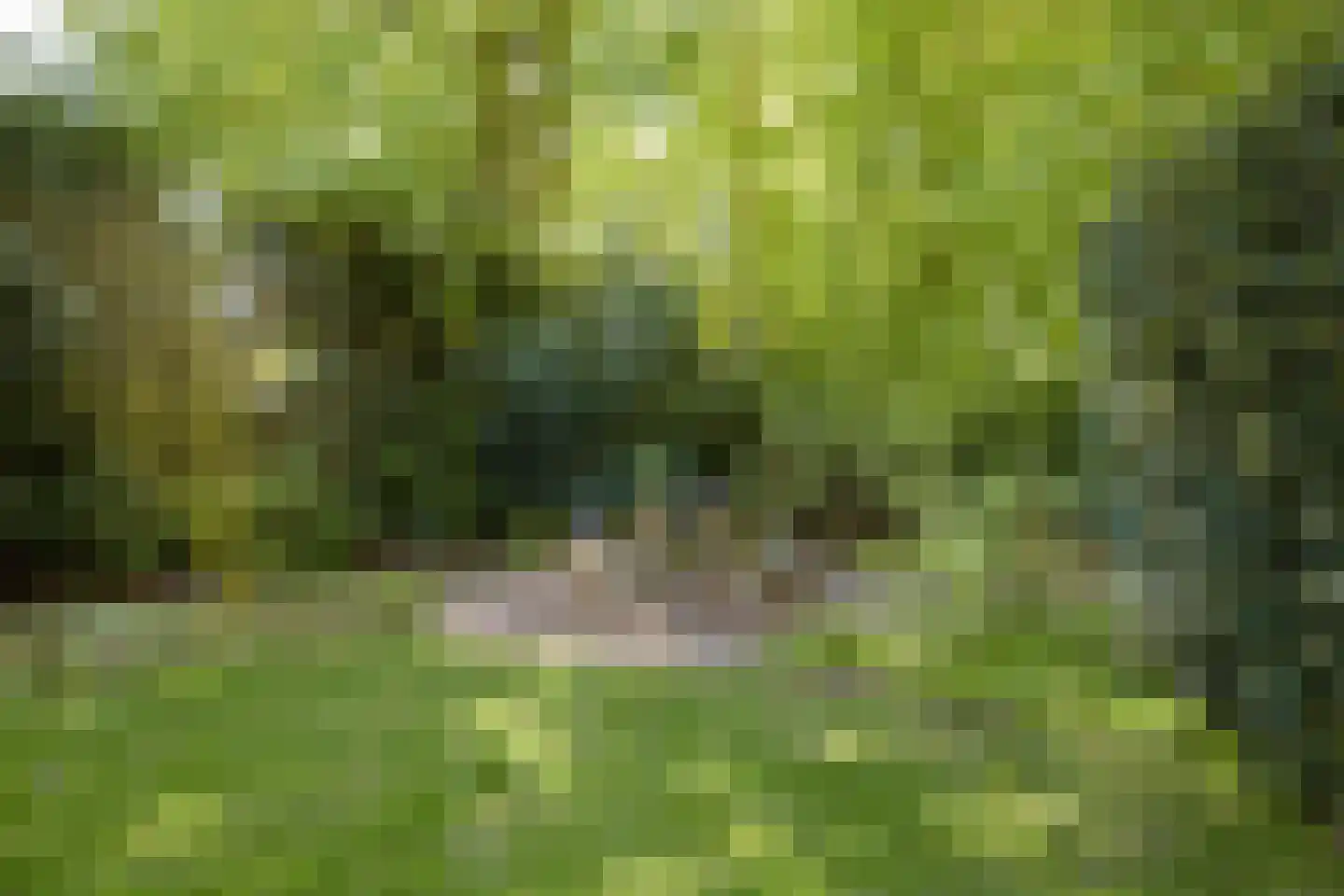 Pagnevaartdreef 4 Bosschenhoofd thumbnail 43
