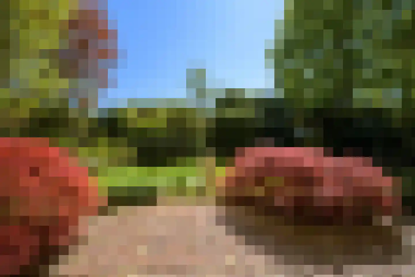 Pagnevaartdreef 4 Bosschenhoofd thumbnail 44