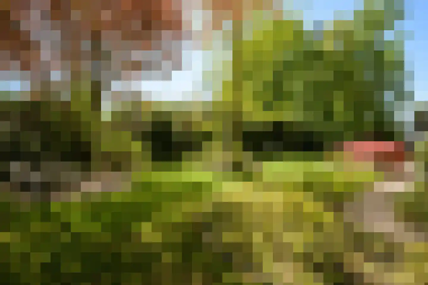 Pagnevaartdreef 4 Bosschenhoofd thumbnail 45