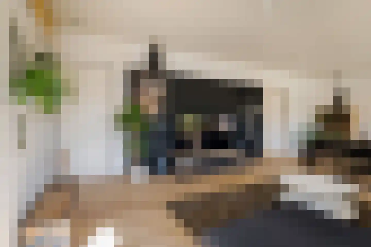 Pagnevaartdreef 4 Bosschenhoofd thumbnail 5