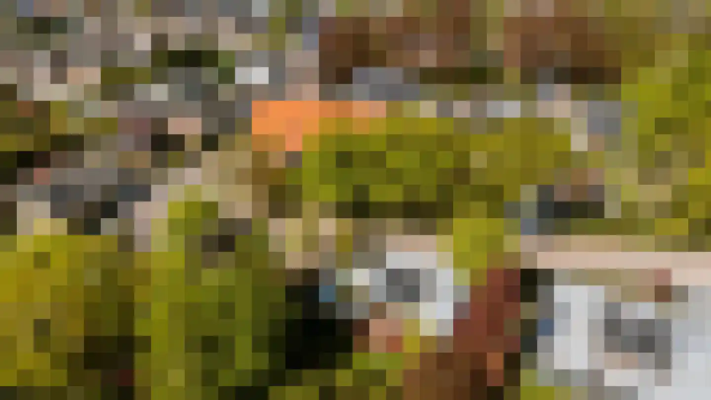 Pagnevaartdreef 4 Bosschenhoofd thumbnail 50