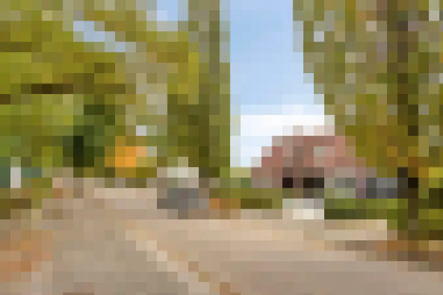 Pagnevaartweg 28 Oudenbosch thumbnail 26