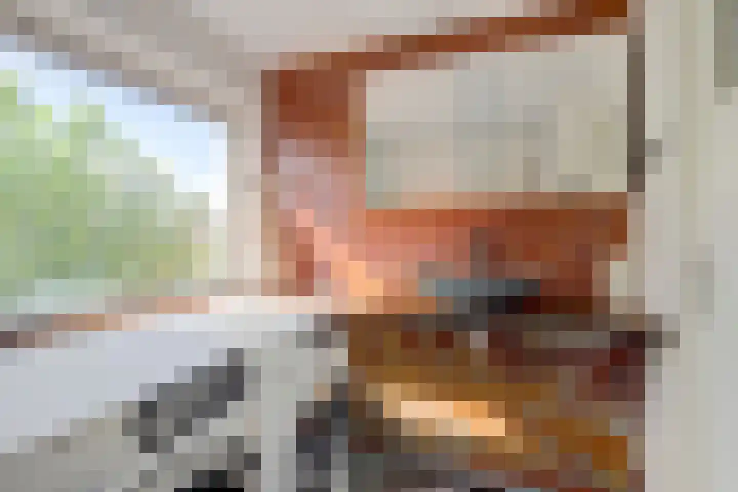 Pagnevaartweg 32 Oudenbosch thumbnail 32