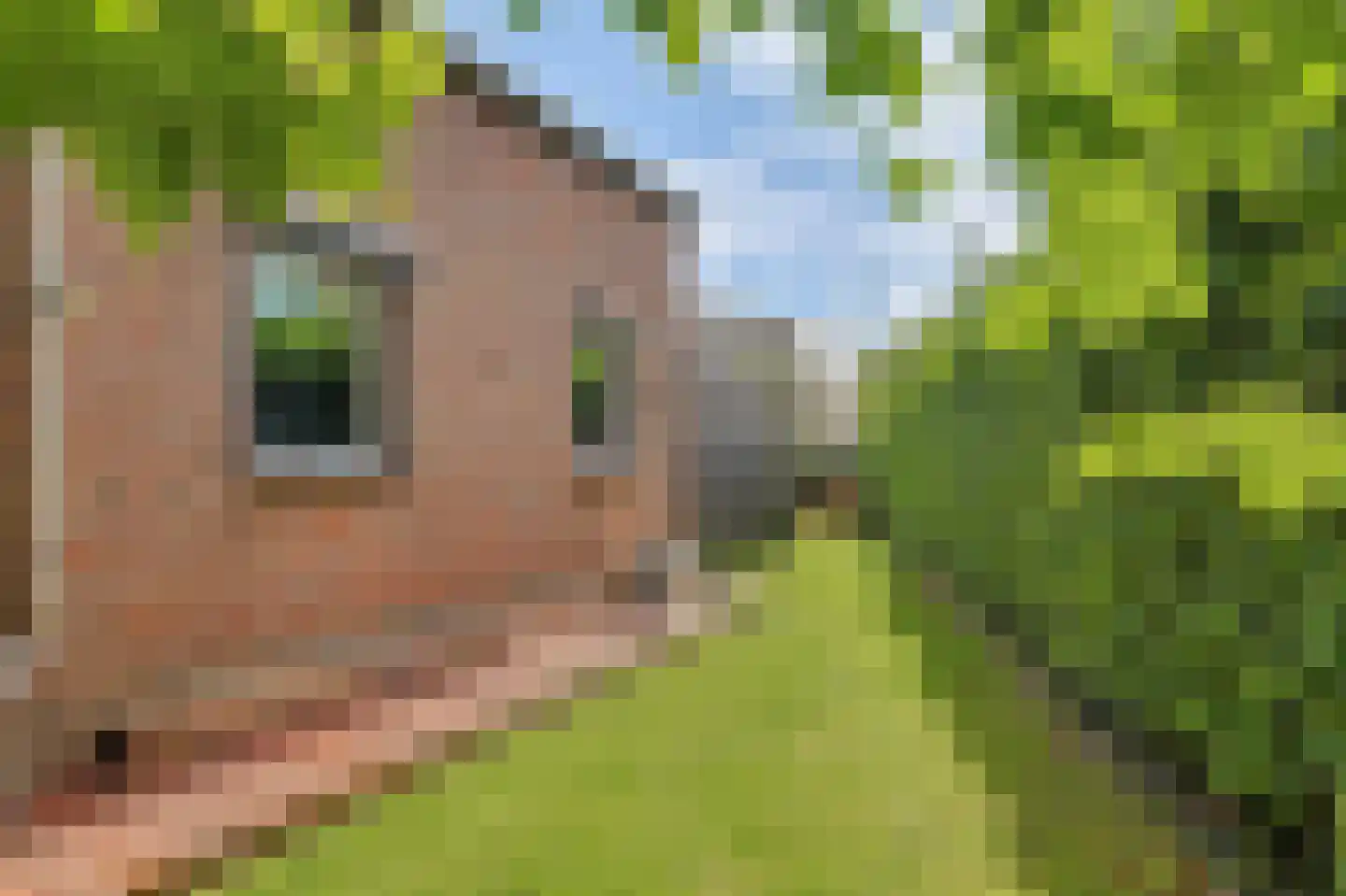 Pagnevaartweg 32 Oudenbosch thumbnail 45