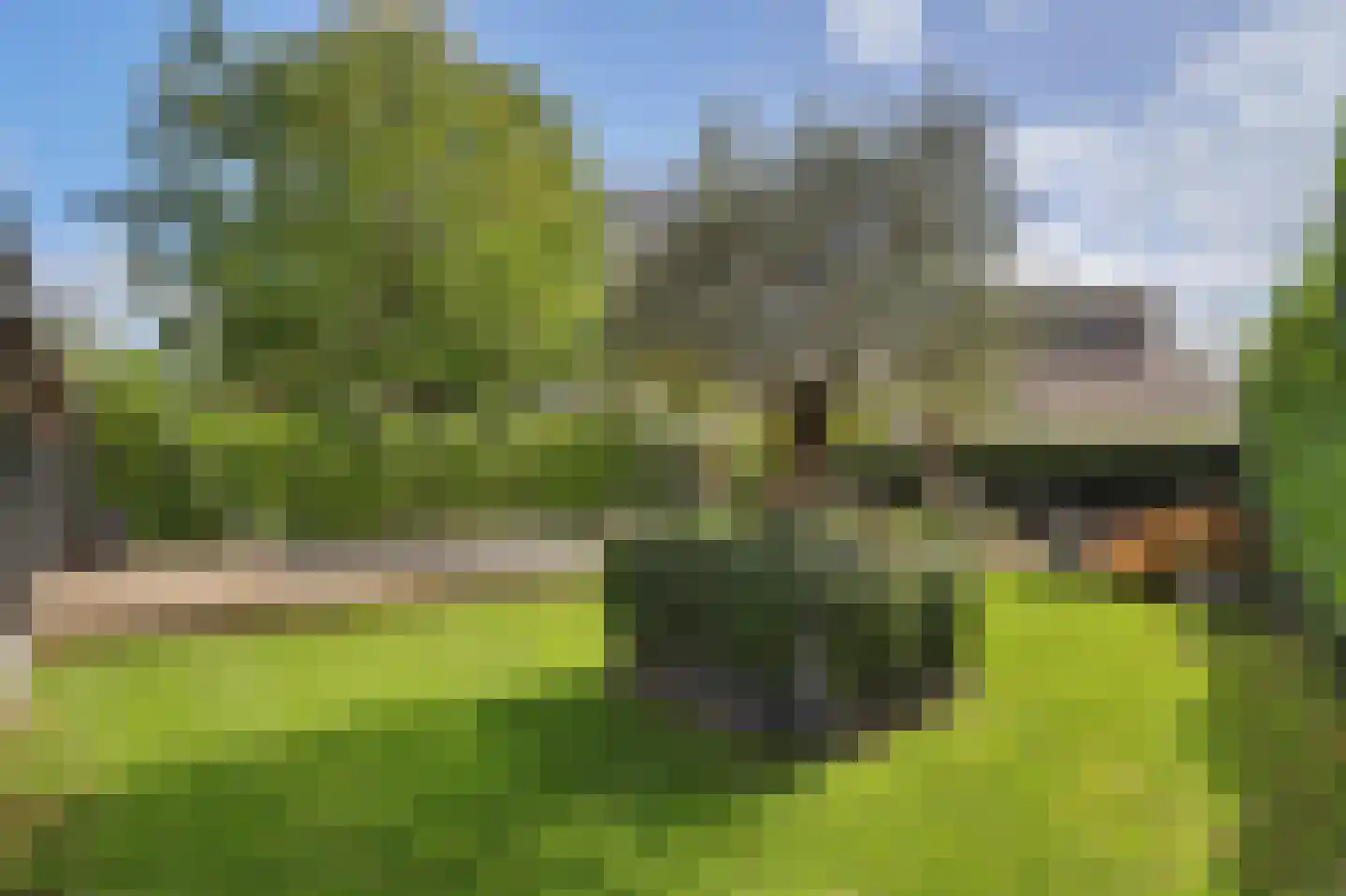 Pagnevaartweg 32 Oudenbosch thumbnail 47