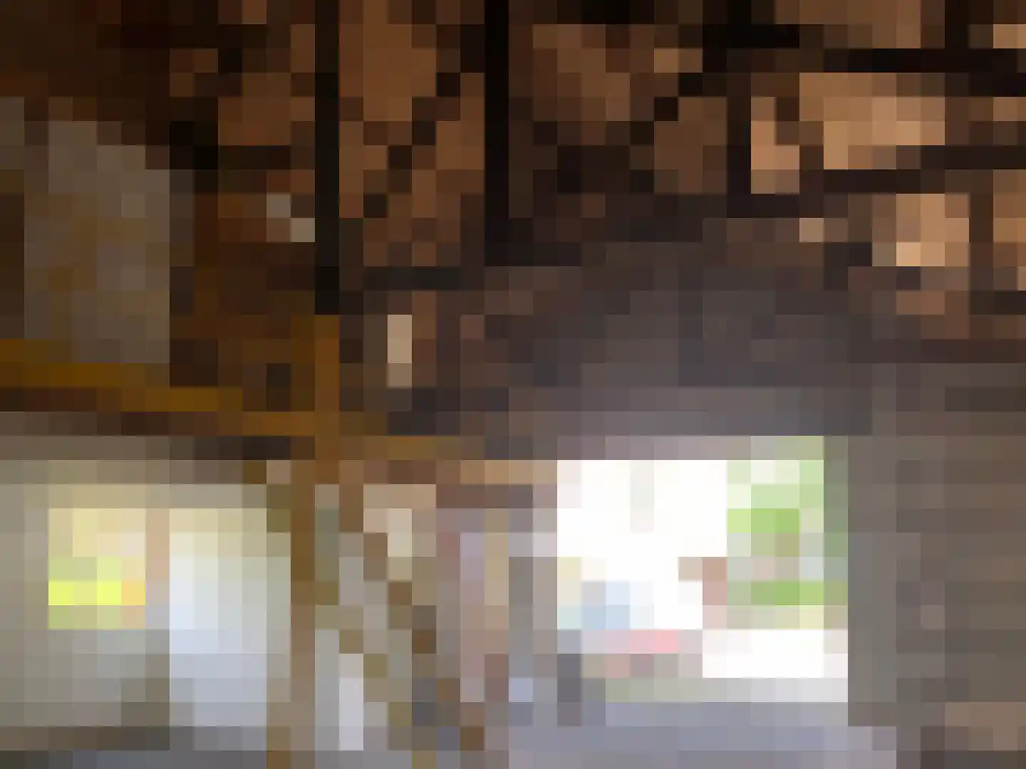Pagnevaartweg 32 Oudenbosch thumbnail 69