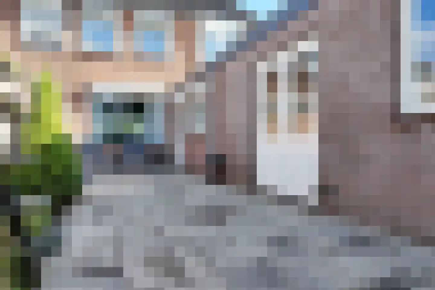 Pagnevaartweg 76 Oudenbosch thumbnail 56