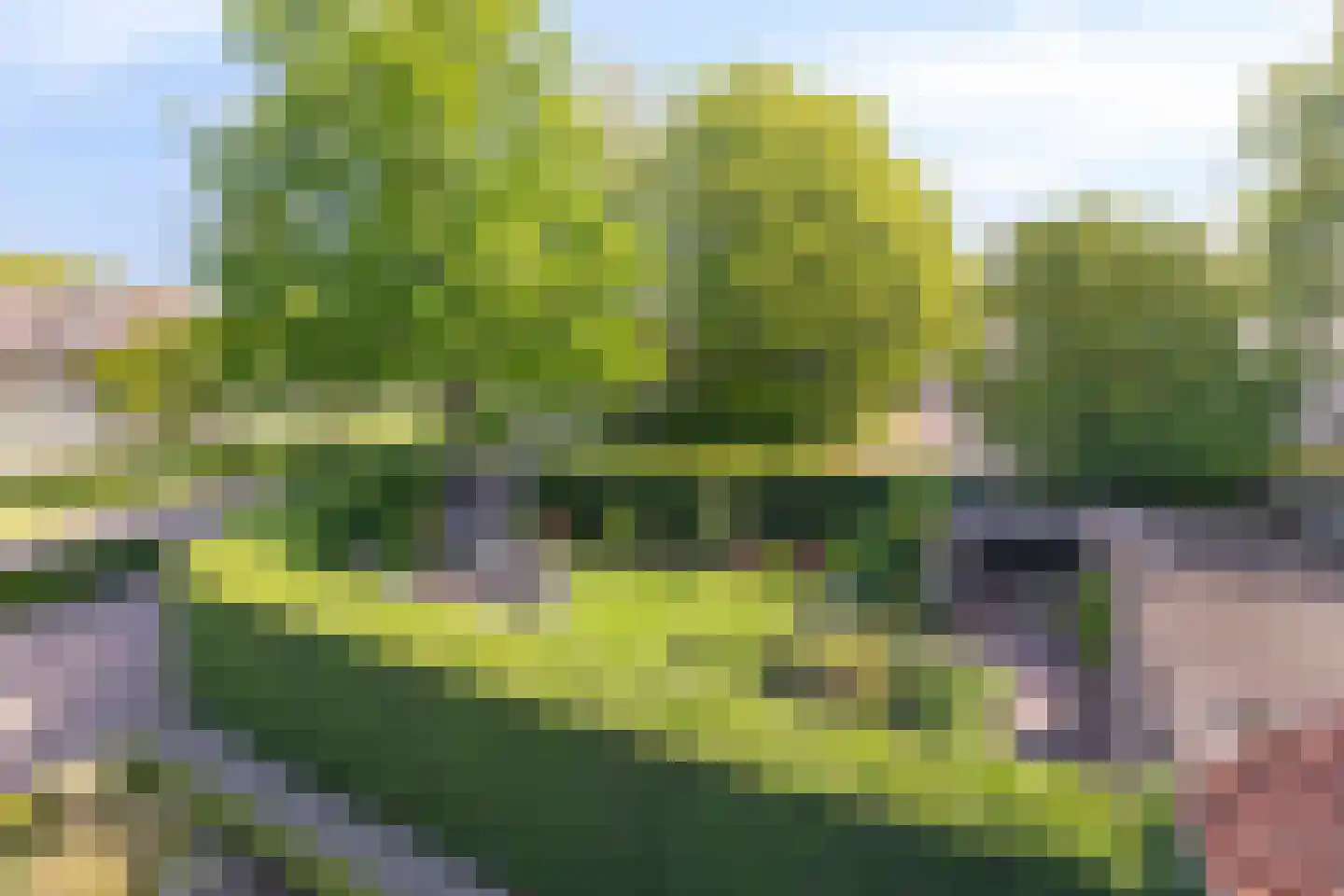 Pagnevaartweg 80 Oudenbosch thumbnail 52