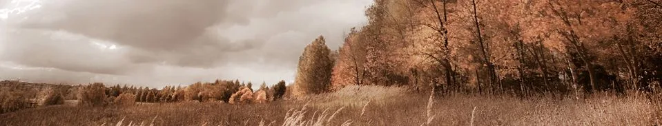 Team foto van PAGO adviesgroep