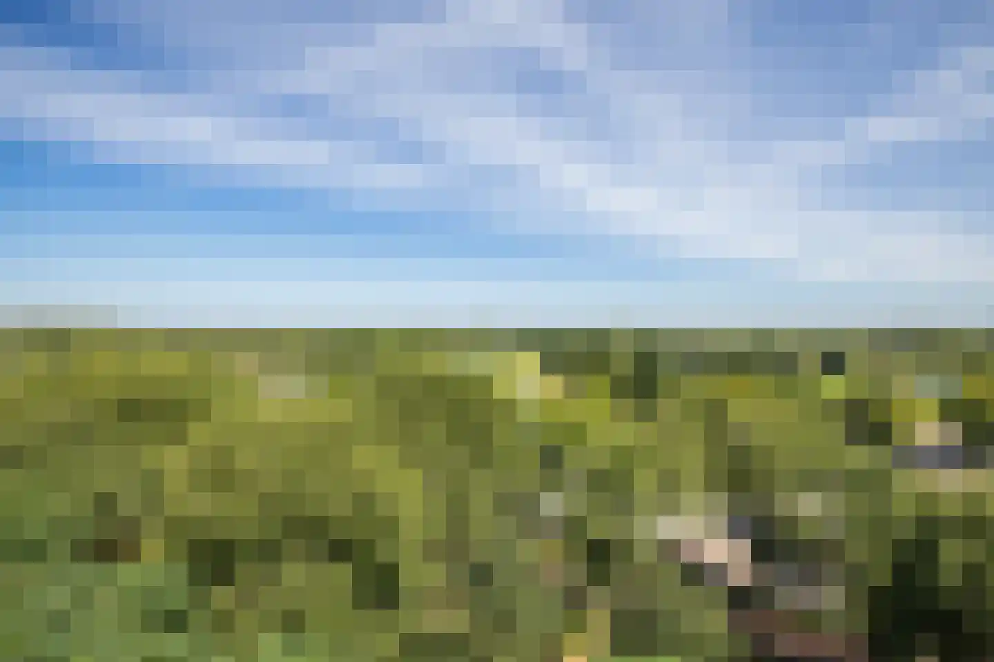 Pahud de Mortangesdreef 106 Utrecht thumbnail 12
