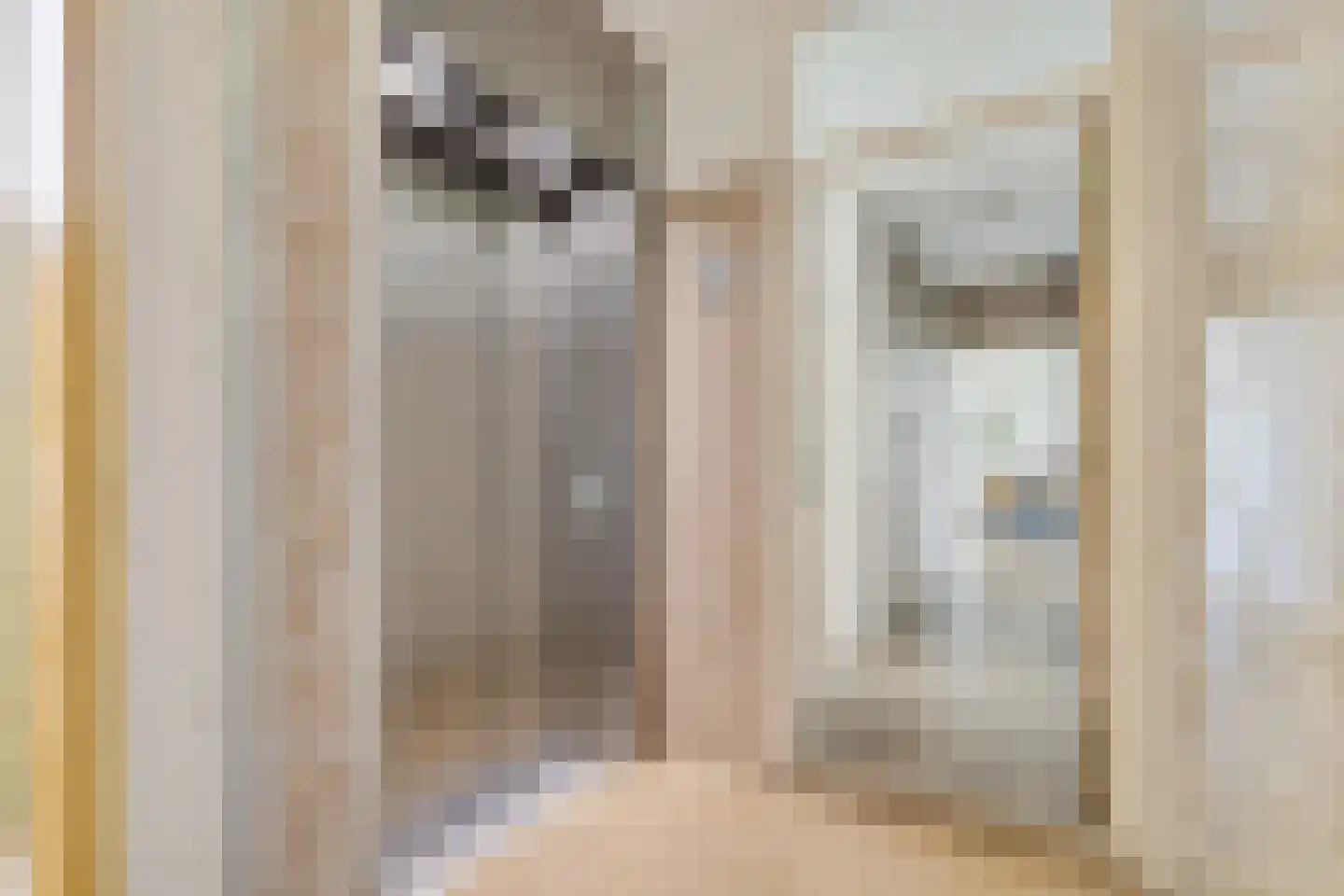 Pahud de Mortangesdreef 106 Utrecht thumbnail 15