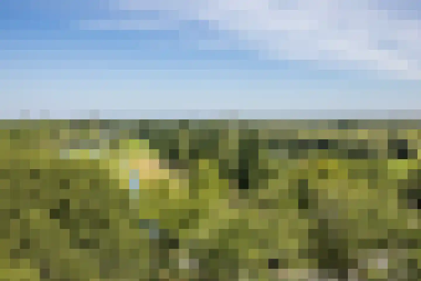 Pahud de Mortangesdreef 106 Utrecht thumbnail 16