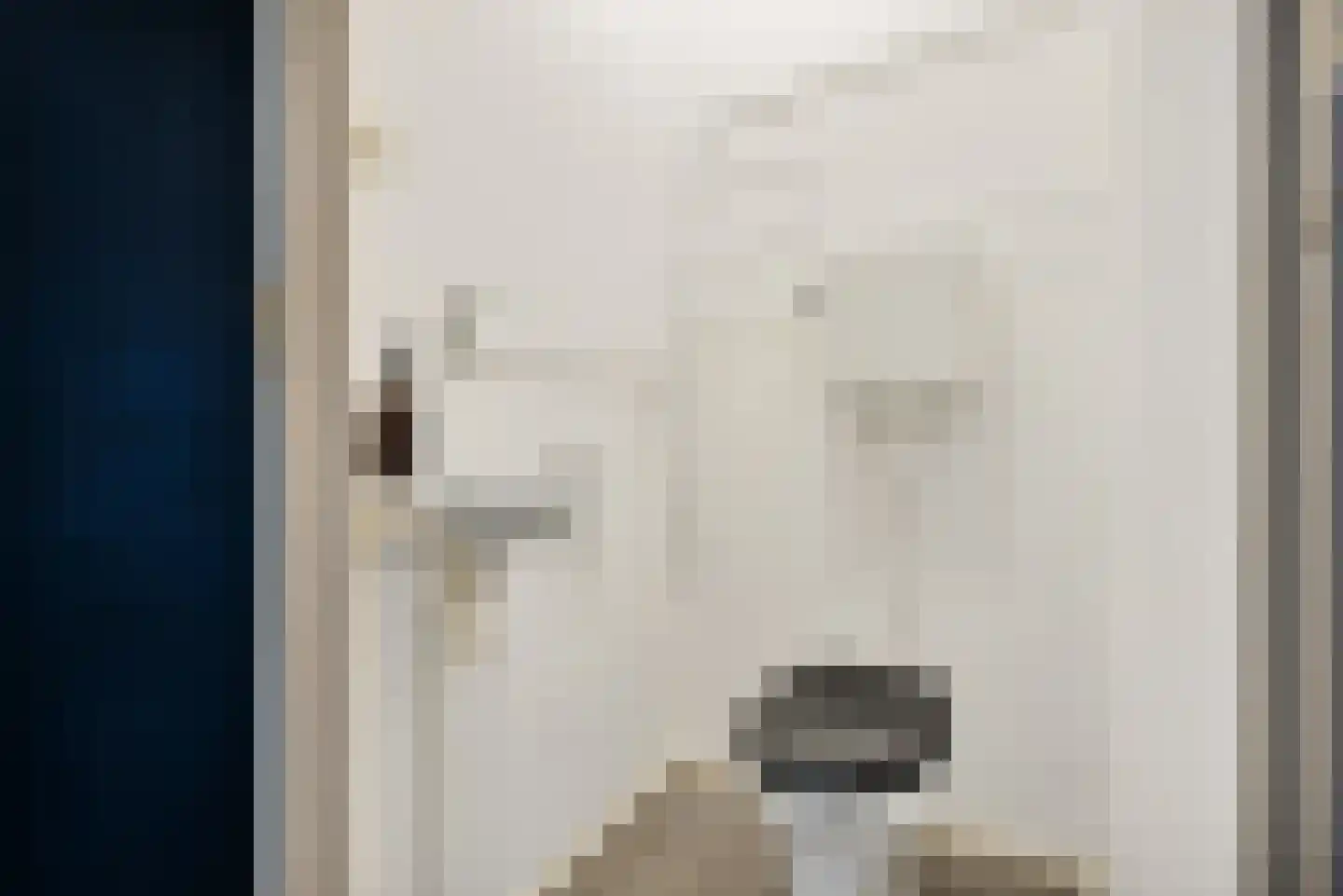 Pahud de Mortangesdreef 106 Utrecht thumbnail 30