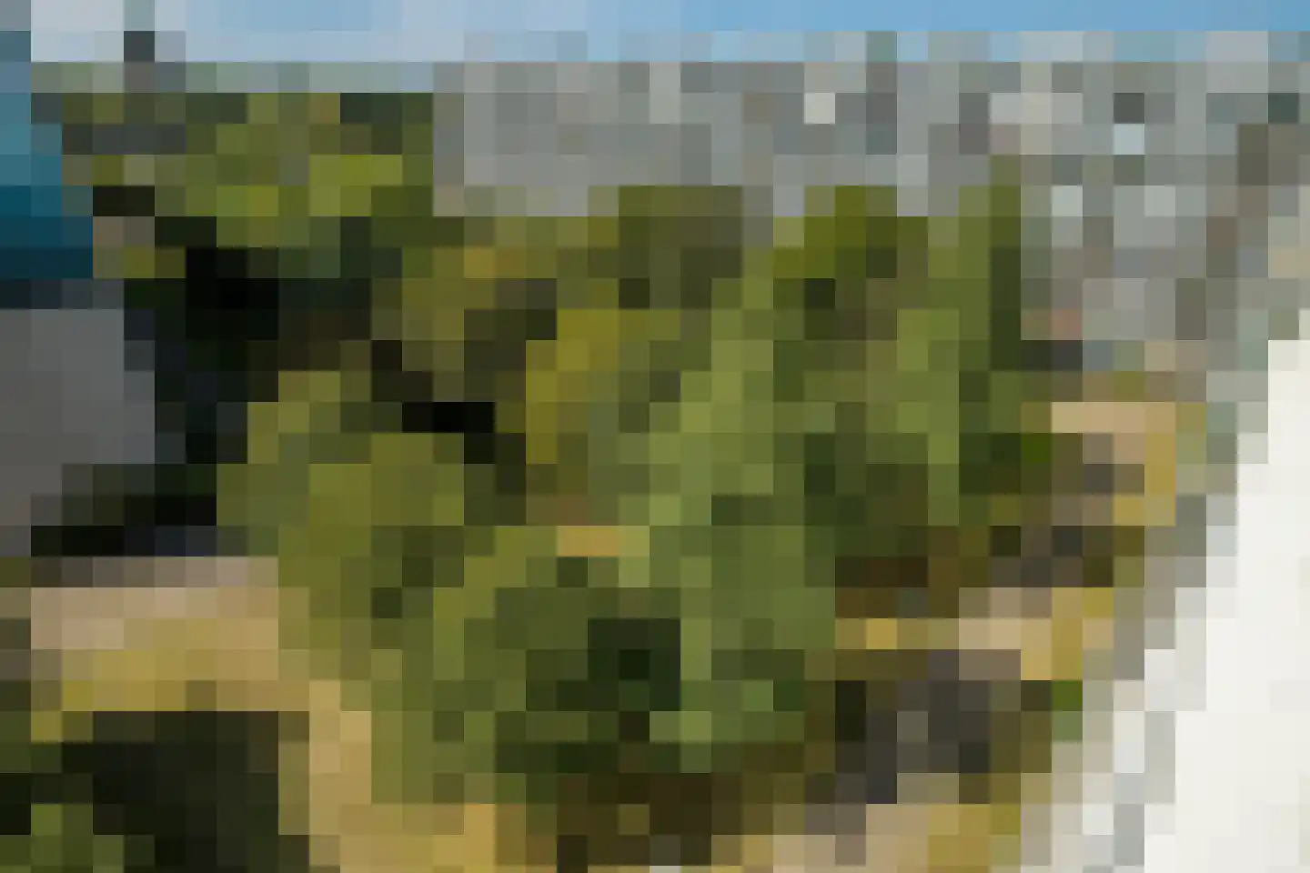 Pahud de Mortangesdreef 106 Utrecht thumbnail 35