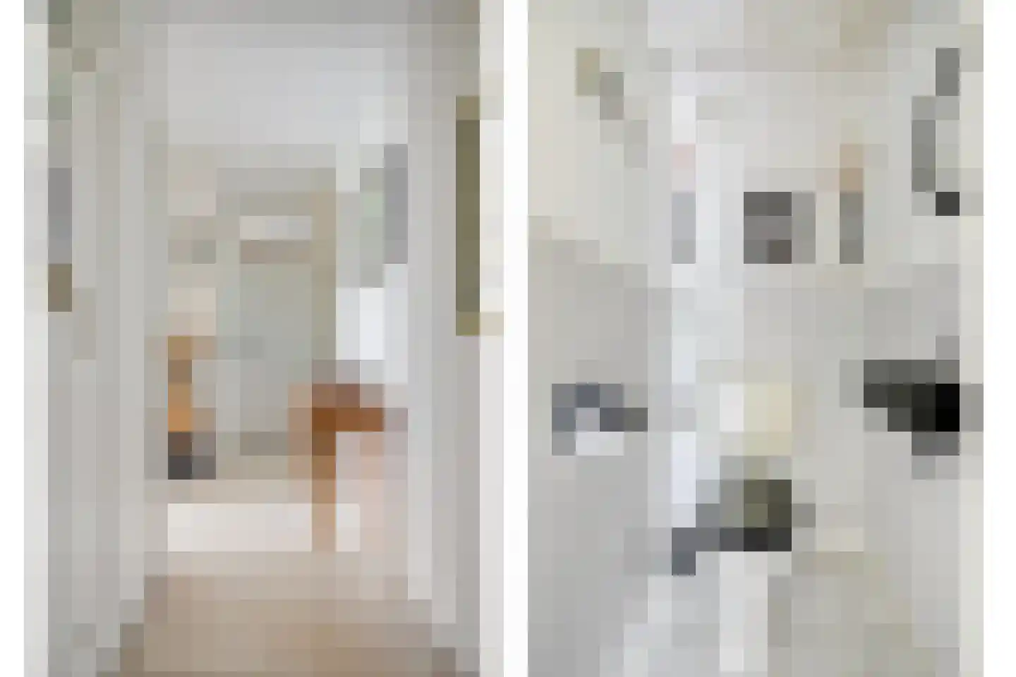 Pahud de Mortangesdreef 124 Utrecht thumbnail 8