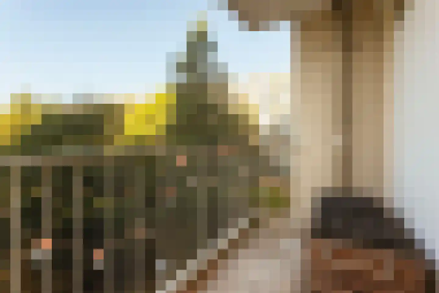 Pahud de Mortangesdreef 126 Utrecht thumbnail 19