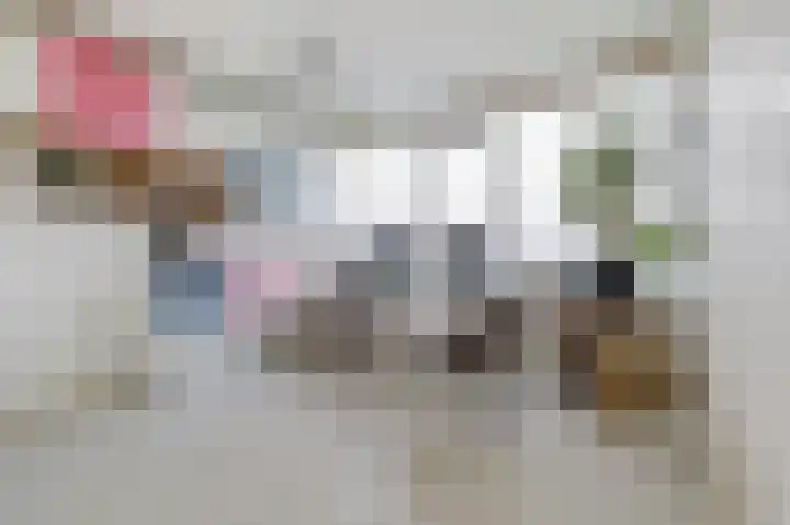 Pahud de Mortangesdreef 188 Utrecht thumbnail 16