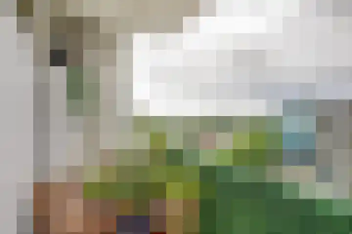 Pahud de Mortangesdreef 188 Utrecht thumbnail 18