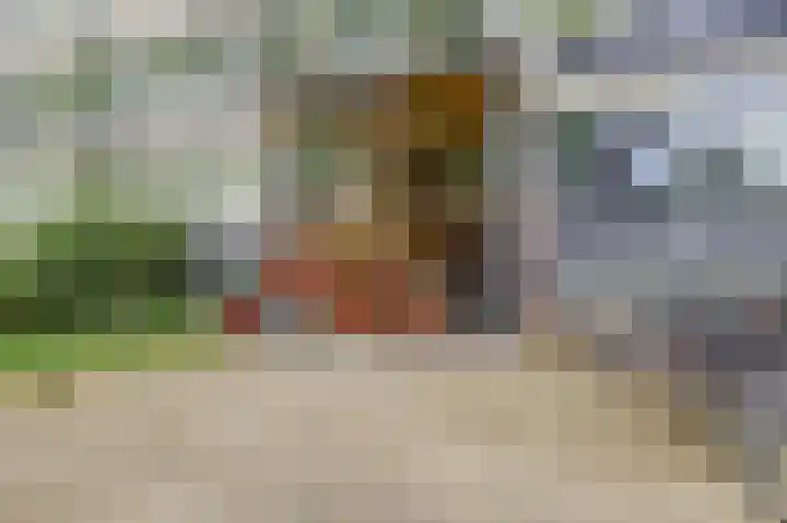 Pahud de Mortangesdreef 188 Utrecht thumbnail 20