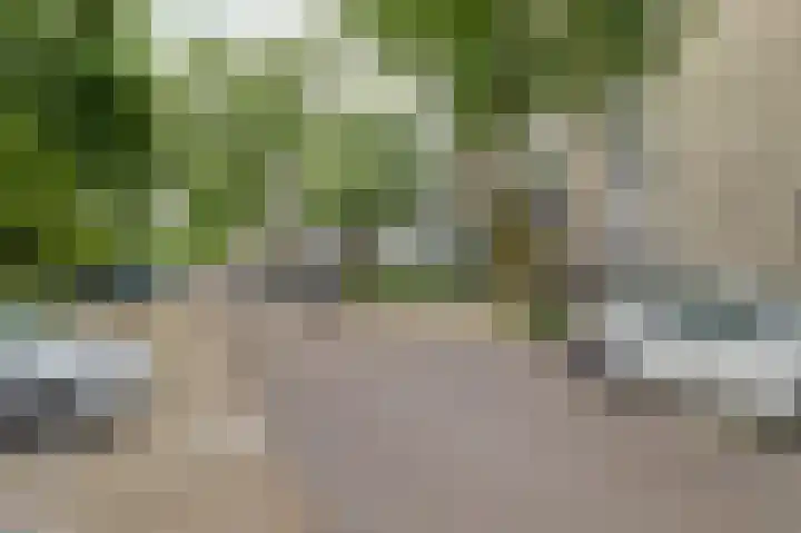 Pahud de Mortangesdreef 188 Utrecht thumbnail 21