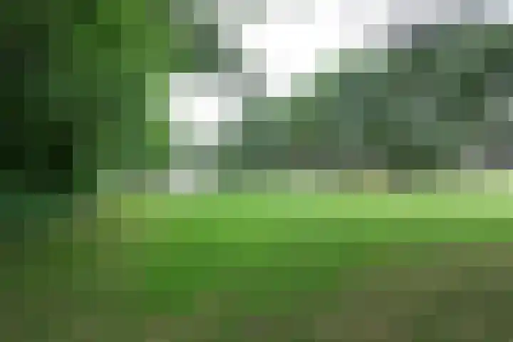 Pahud de Mortangesdreef 188 Utrecht thumbnail 22