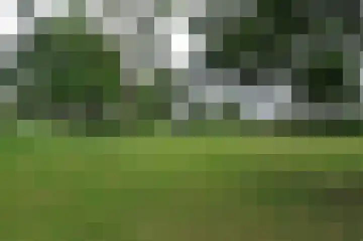 Pahud de Mortangesdreef 188 Utrecht thumbnail 24