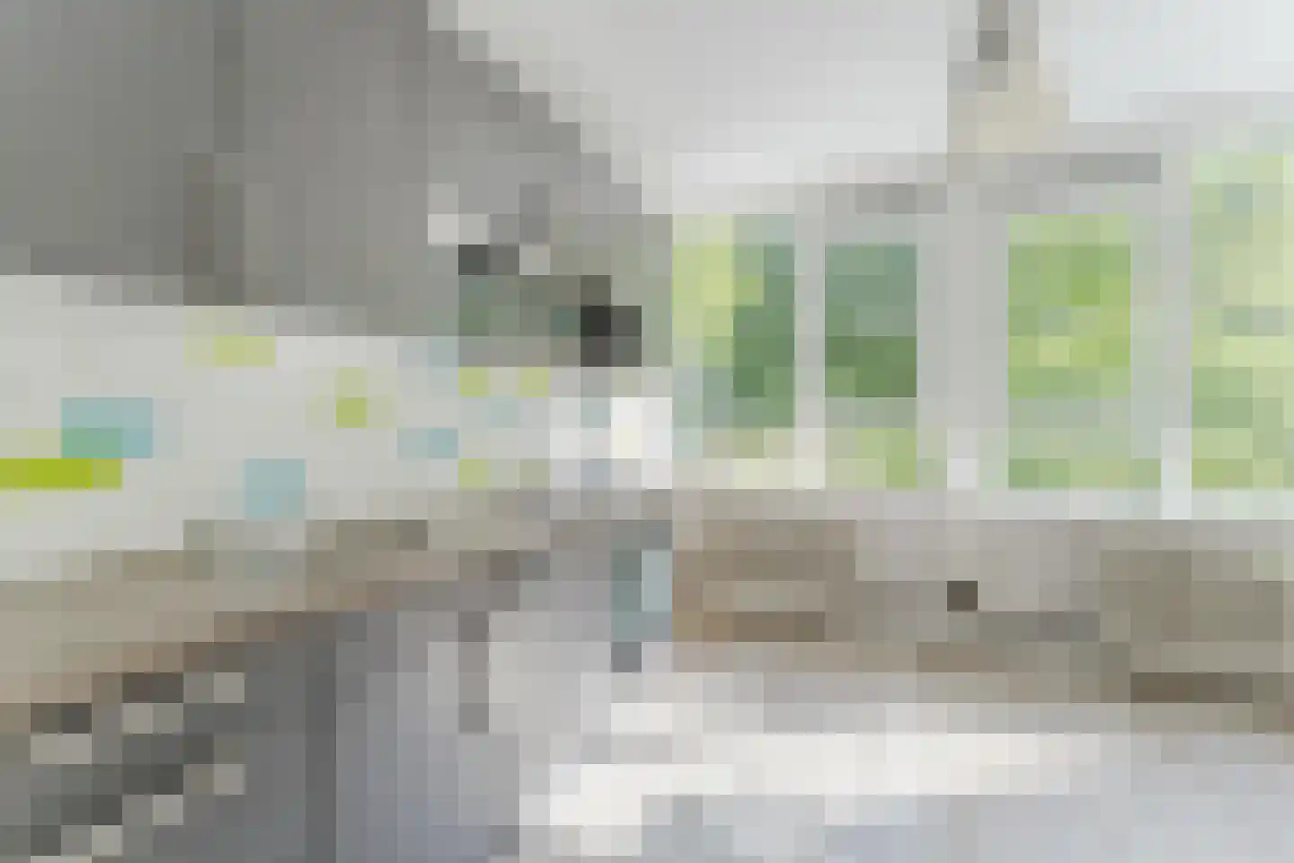 Pahud de Mortangesdreef 242 Utrecht thumbnail 15