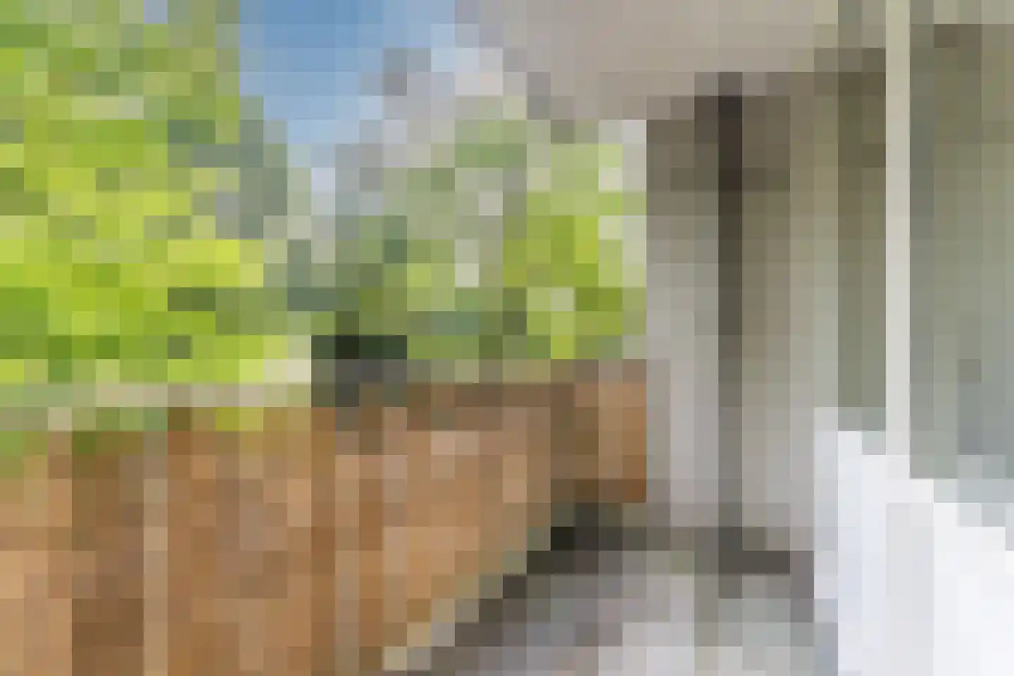 Pahud de Mortangesdreef 242 Utrecht thumbnail 24