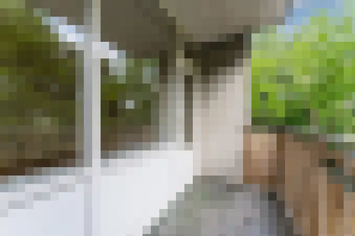 Pahud de Mortangesdreef 242 Utrecht thumbnail 25