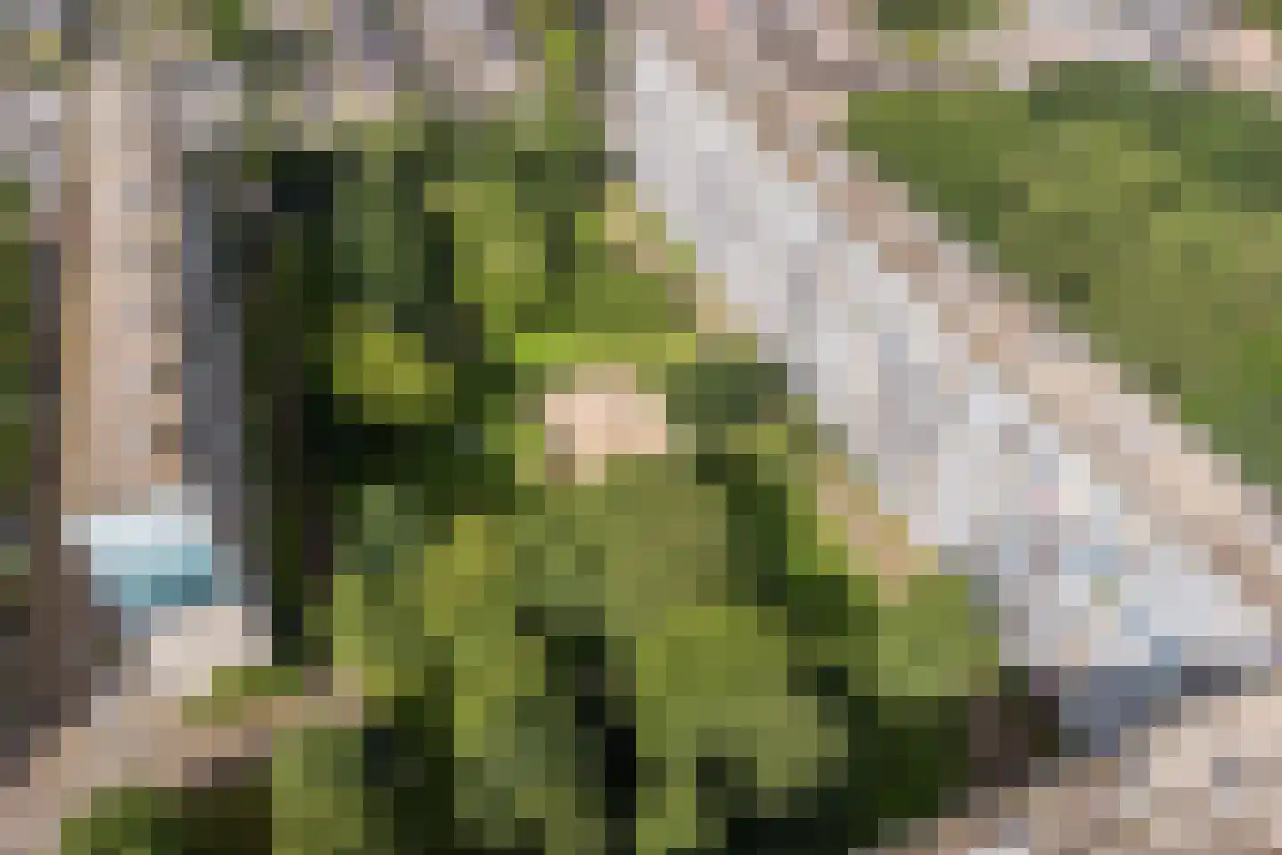 Pahud de Mortangesdreef 242 Utrecht thumbnail 28