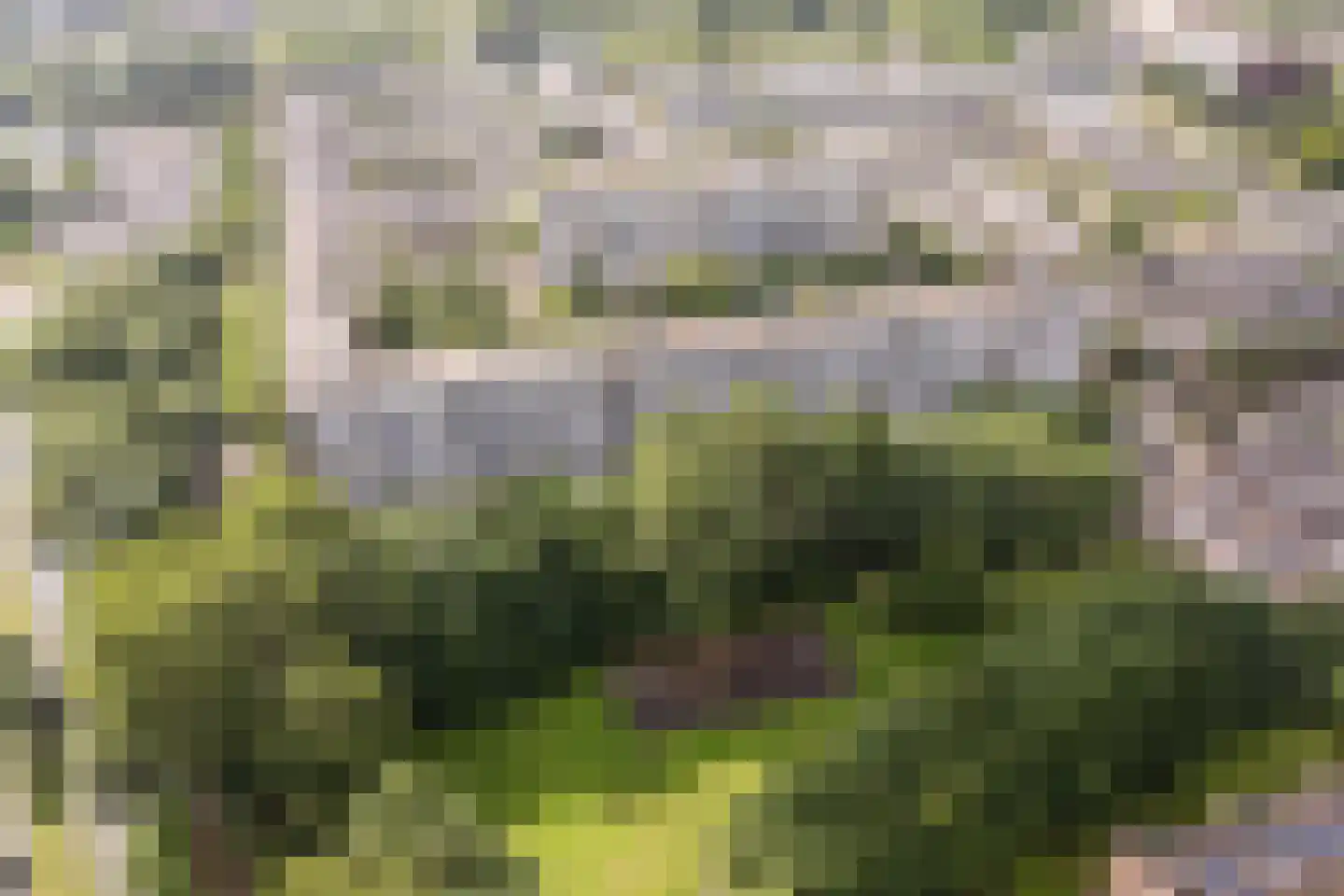 Pahud de Mortangesdreef 242 Utrecht thumbnail 29