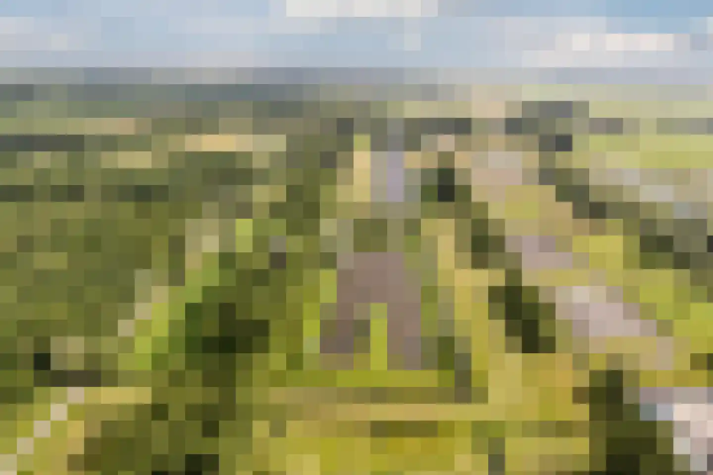 Pahud de Mortangesdreef 242 Utrecht thumbnail 33