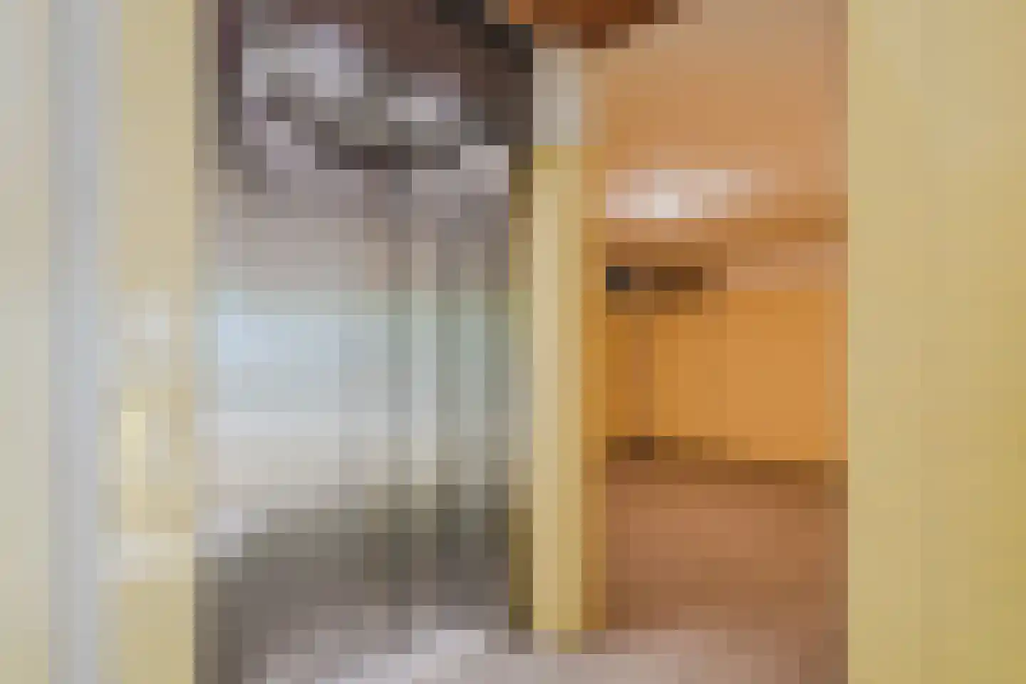 Pahud de Mortangesdreef 242 Utrecht thumbnail 8
