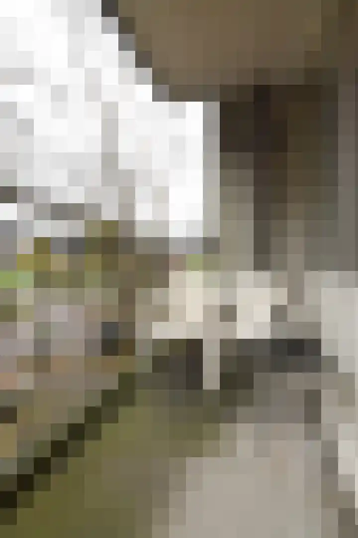 Pahud de Mortangesdreef 244 Utrecht thumbnail 14