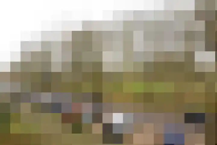 Pahud de Mortangesdreef 244 Utrecht thumbnail 15