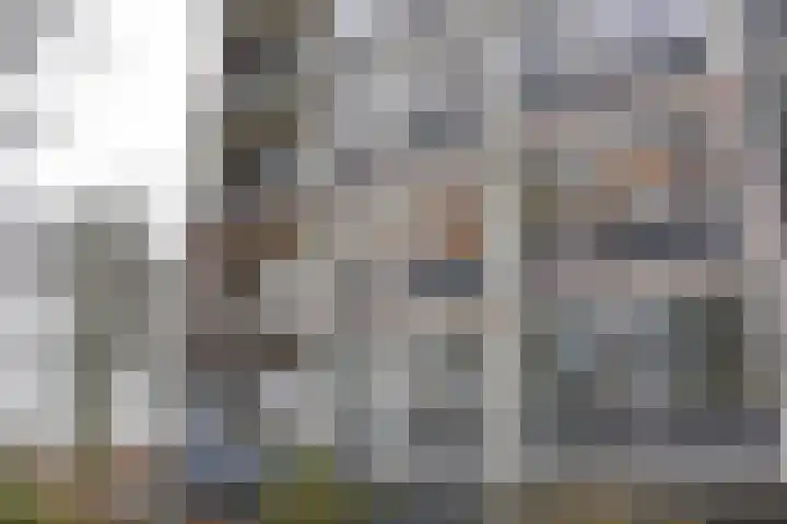 Pahud de Mortangesdreef 244 Utrecht thumbnail 20