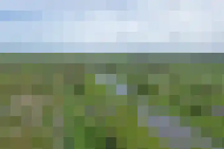 Pahud de Mortangesdreef 244 Utrecht thumbnail 24