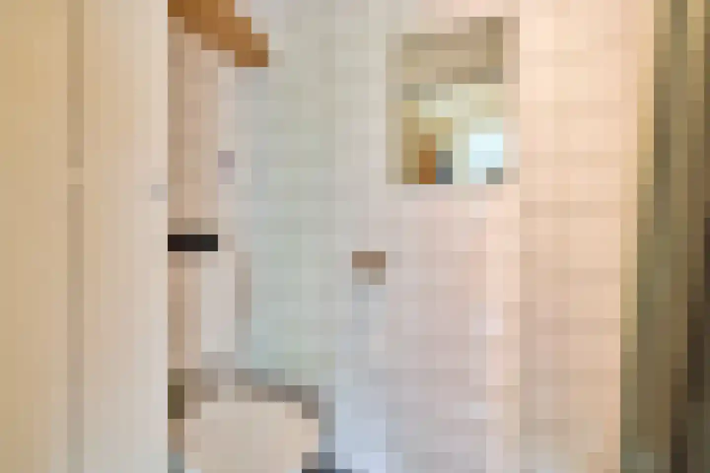 Pahud de Mortangesdreef 250 Utrecht thumbnail 17