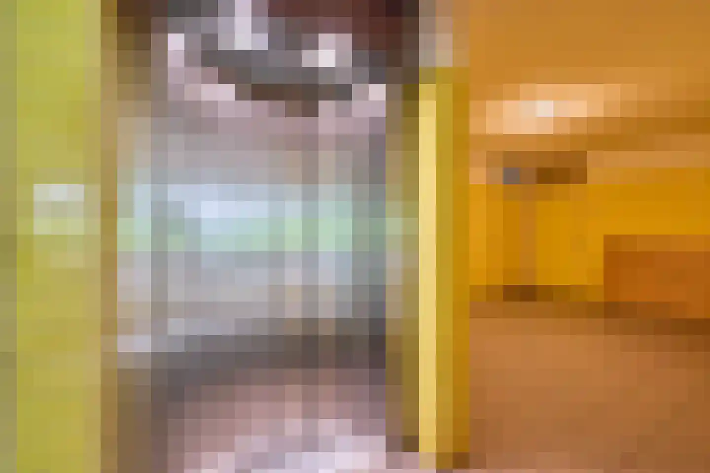 Pahud de Mortangesdreef 250 Utrecht thumbnail 30