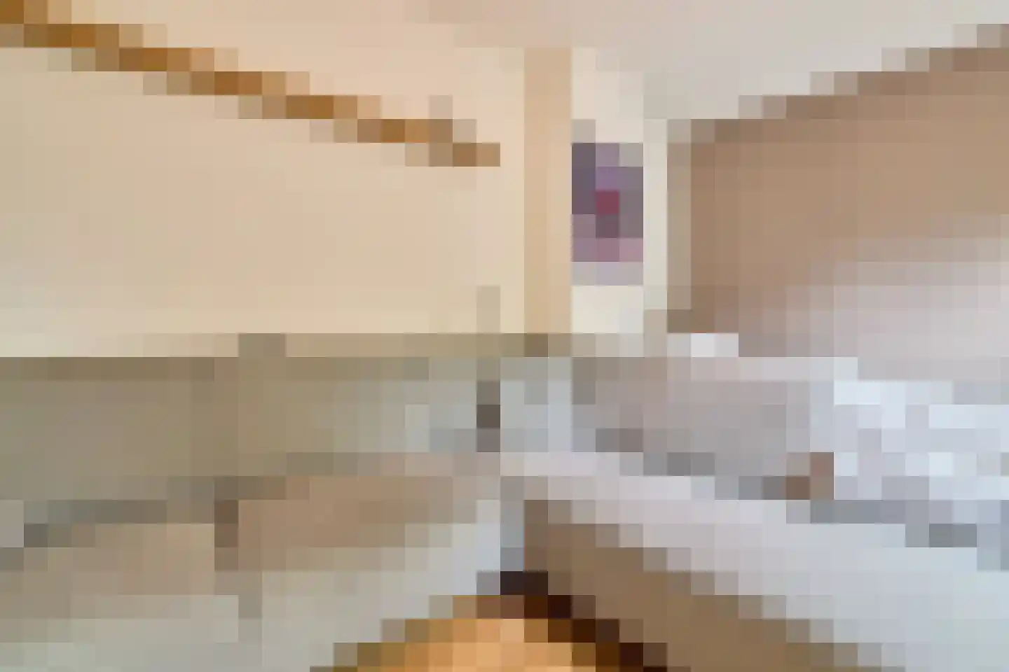 Pahud de Mortangesdreef 250 Utrecht thumbnail 6