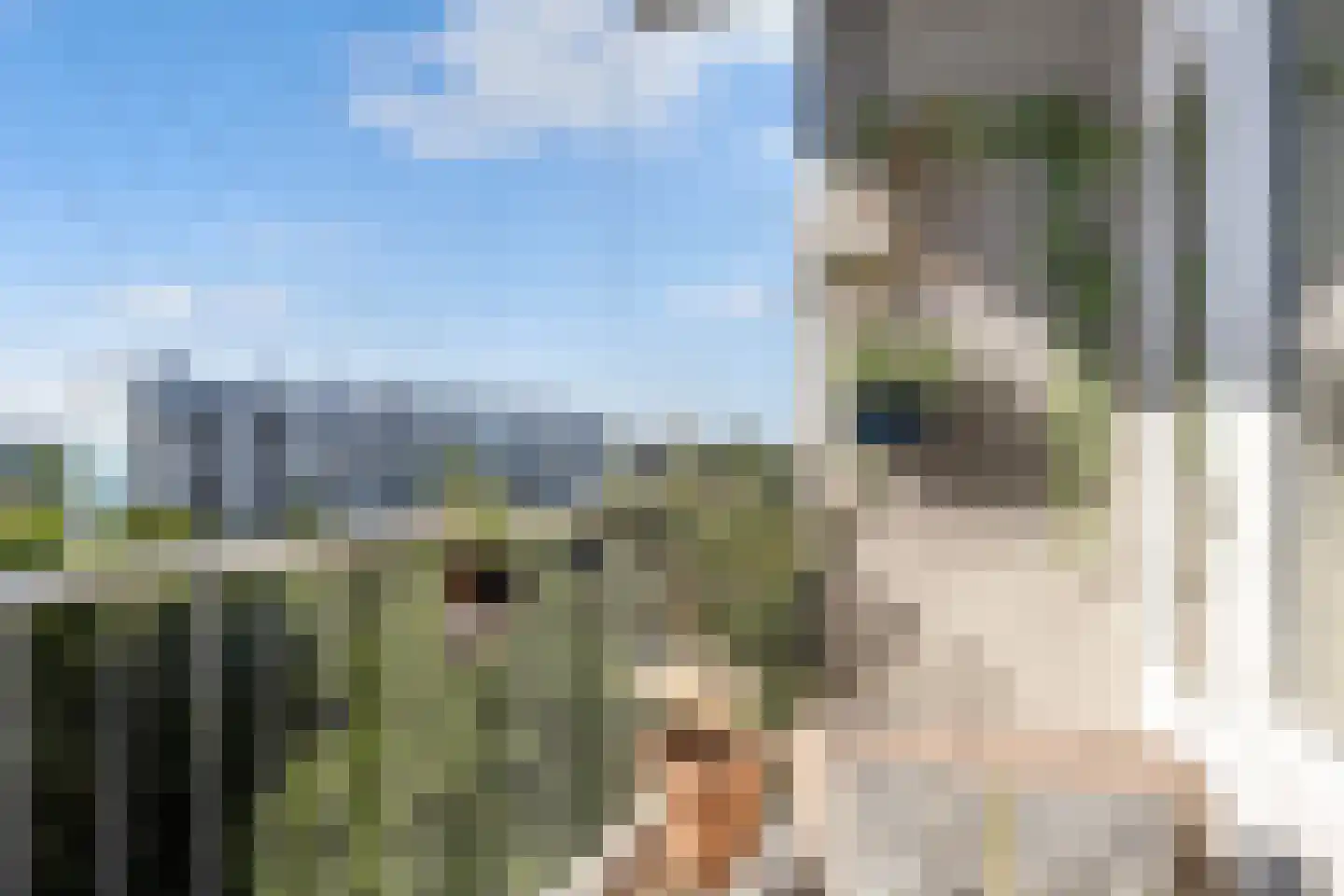 Pahud de Mortangesdreef 294 Utrecht thumbnail 15