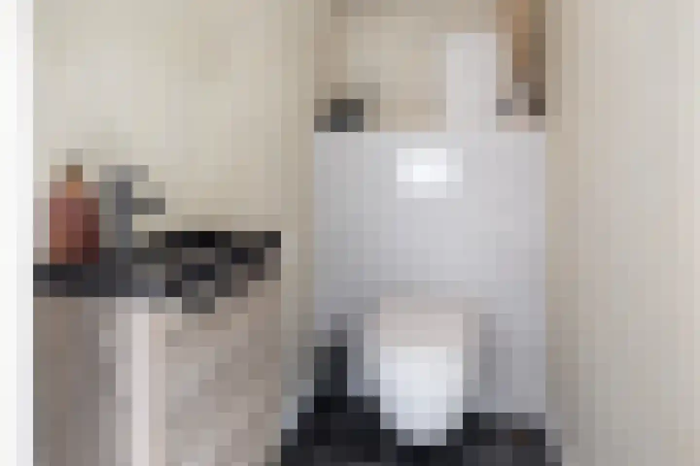 Pahud de Mortangesdreef 294 Utrecht thumbnail 26