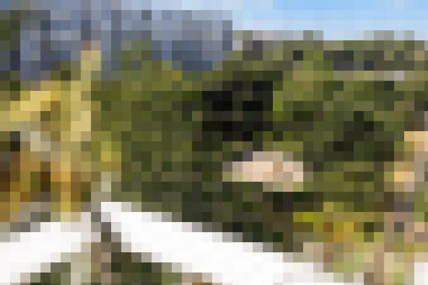 Pahud de Mortangesdreef 294 Utrecht thumbnail 27