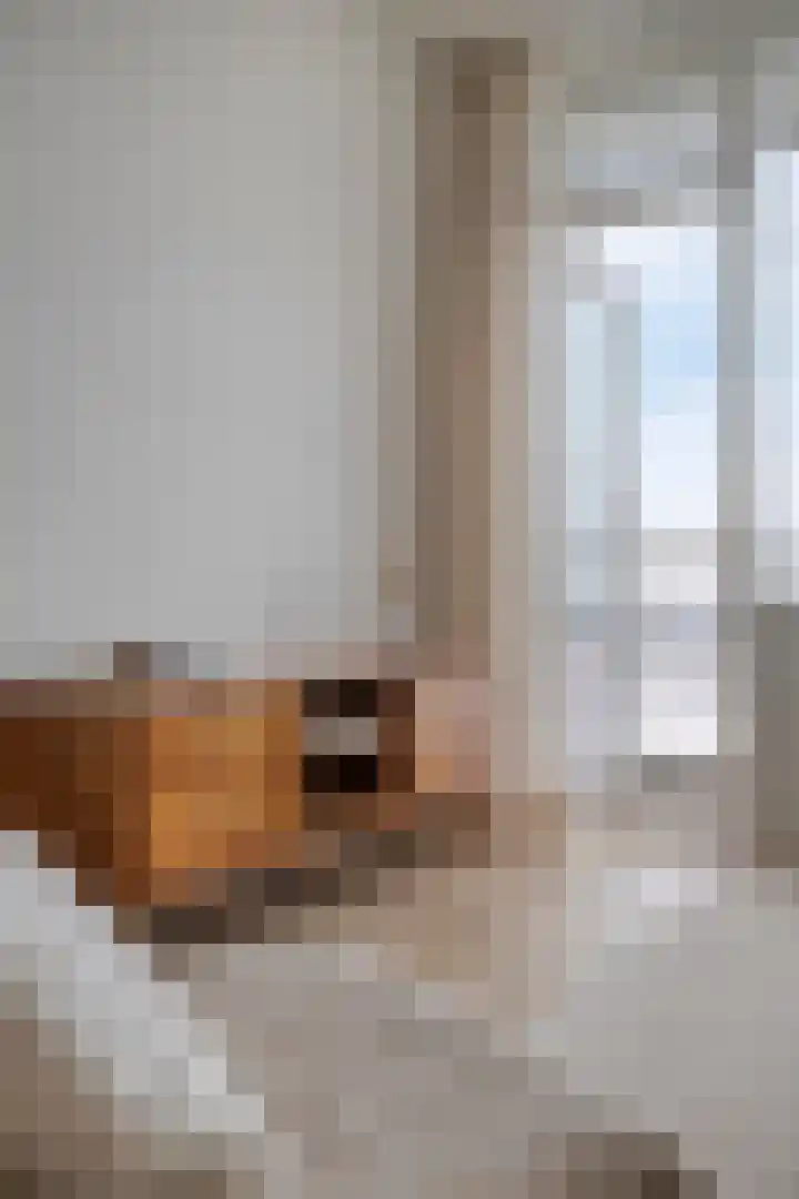 Pahud de Mortangesdreef 306 Utrecht thumbnail 12