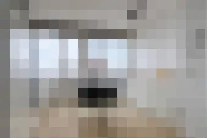 Pahud de Mortangesdreef 306 Utrecht thumbnail 16