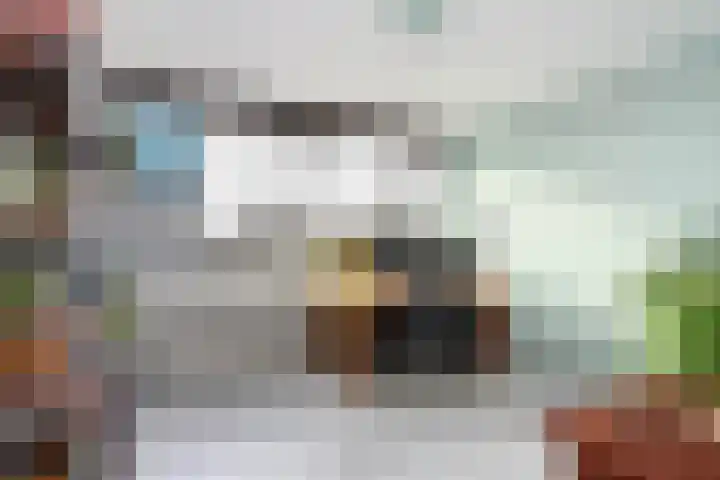 Pahud de Mortangesdreef 82 Utrecht thumbnail 7