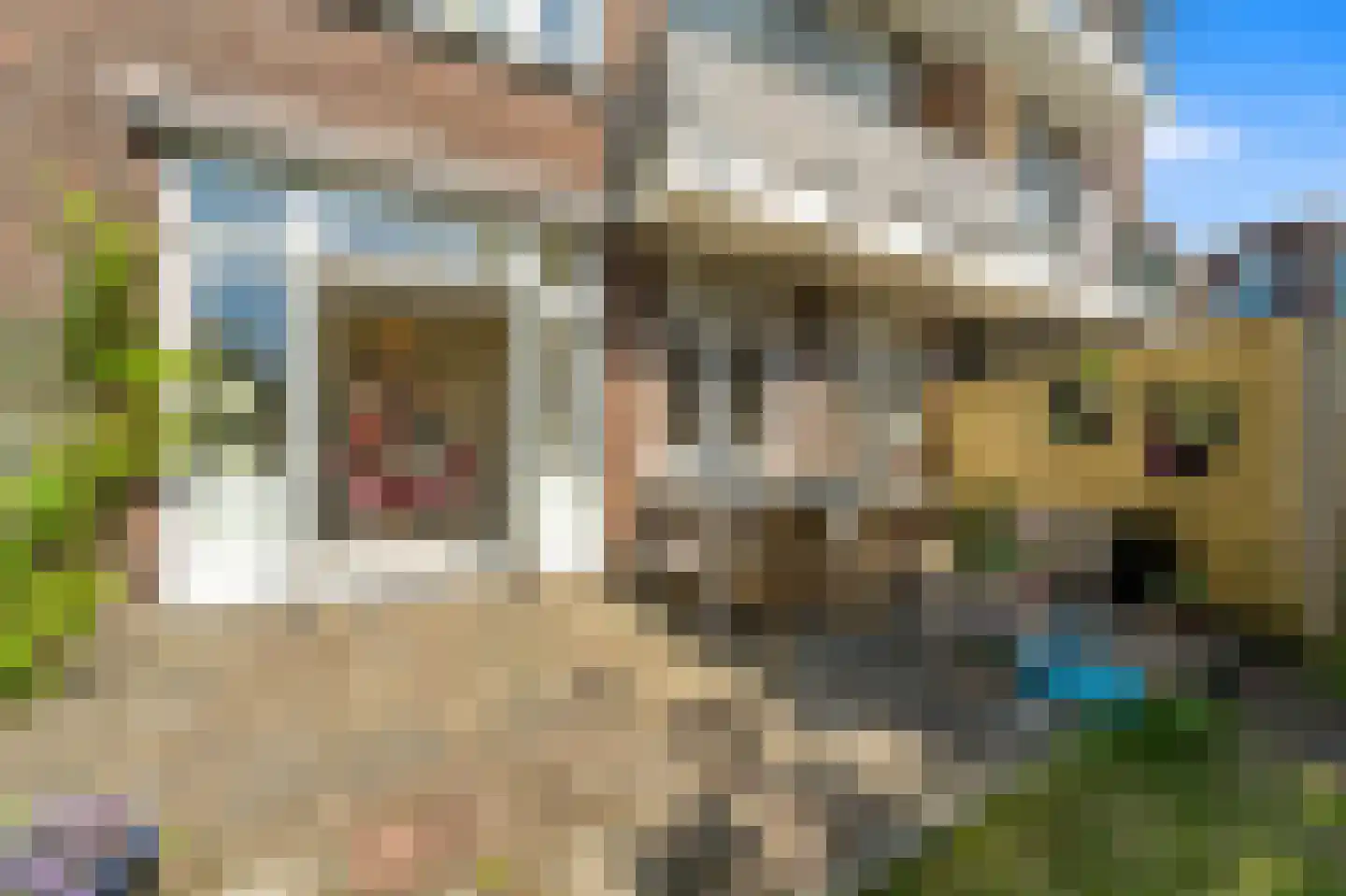 Pahudstraat 159 Den Haag thumbnail 14